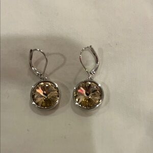 Elegant Silver and Gold Earrings